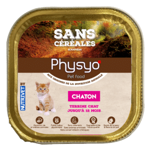 Terrine_Physyo_Chat_Chaton